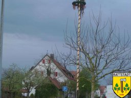 2008_maibaumfest_rattstadt_2_20161023_1591761269