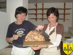 2008_maibaumfest_rattstadt_4_20161023_2051193639