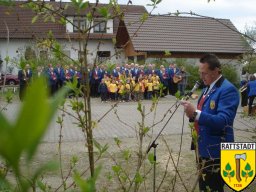 2008_maibaumfest_rattstadt_6_20161023_1548650366