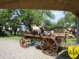 01-05-2009-dorfhaus-rattstadt-20-jahre_29_20160605_1400678763