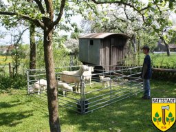 01-05-2009-dorfhaus-rattstadt-20-jahre_33_20160605_1232219567