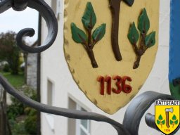 01-05-2009-dorfhaus-rattstadt-20-jahre_34_20160605_1915506813