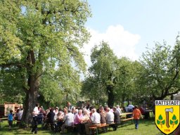 01-05-2009-dorfhaus-rattstadt-20-jahre_39_20160605_1009584967