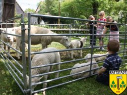01-05-2009-dorfhaus-rattstadt-20-jahre_55_20160605_2000223326