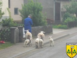 01-05-2009-dorfhaus-rattstadt-20-jahre_73_20160605_1480167242