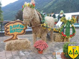 2013_09_21_22_krimmler_almabtriebsfest_22_20161024_1350252891