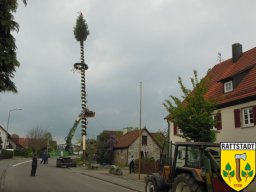 2014_april_maibaum_holen_und_aufbau_36_20161024_1628317675