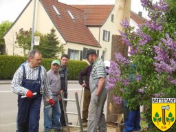 2014_april_maibaum_holen_und_aufbau_38_20161024_1880149729