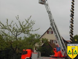 2014_april_maibaum_holen_und_aufbau_39_20161024_2088951467