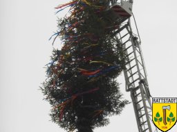 2014_april_maibaum_holen_und_aufbau_40_20161024_2069392338