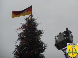 2014_april_maibaum_holen_und_aufbau_42_20161024_1593250173