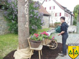 2014_april_maibaum_holen_und_aufbau_45_20161024_2063464510