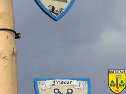 2016_04_28_maibaumaufbau_rattstadt_39_20161024_1333993243