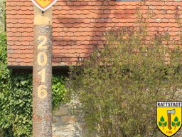 2016_04_28_maibaumaufbau_rattstadt_42_20161024_1821051589