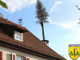 2016_04_28_maibaumaufbau_rattstadt_43_20161024_2072890017