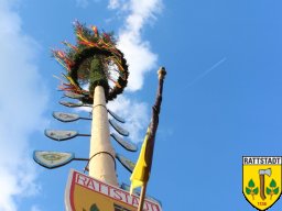 2016_04_28_maibaumaufbau_rattstadt_44_20161024_1905148920