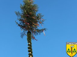 2016_04_28_maibaumaufbau_rattstadt_45_20161024_1376345109