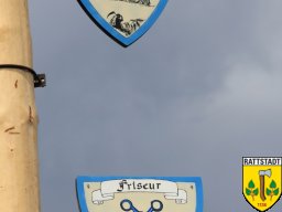 30-04-16-maibaumfest-rattstadt_11_20160516_2072906658