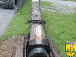 2016_06_07_maibaumabbau_rattstadt_15_20161024_1931155043