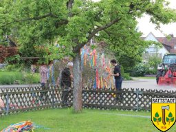2016_06_07_maibaumabbau_rattstadt_17_20161024_2036138298