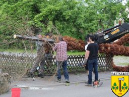 2016_06_07_maibaumabbau_rattstadt_23_20161024_1994258196