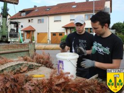 2016_06_07_maibaumabbau_rattstadt_28_20161024_1052178646