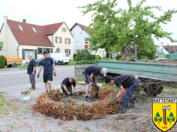 2016_06_07_maibaumabbau_rattstadt_33_20161024_1968190385