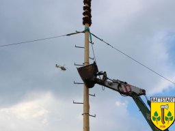 2016_06_07_maibaumabbau_rattstadt_8_20161024_1910658831