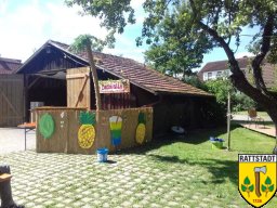 2017-07-29_summernight_serenade_27_20170804_1087850951