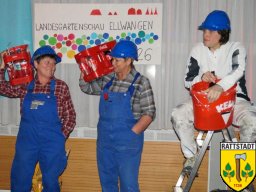 2018-02-03_faschingsball_eigenzell_mgv_mv_37_20180205_1176596626